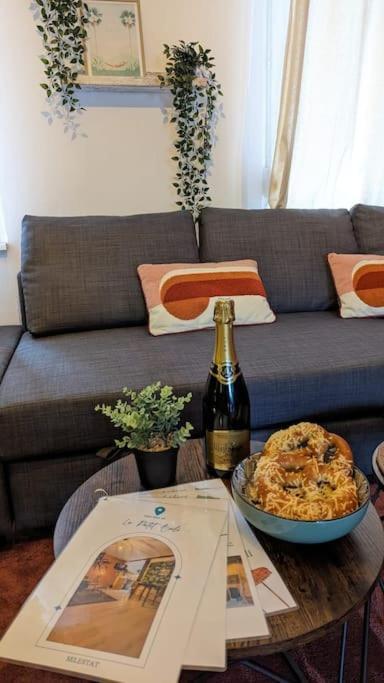 Le Petit Bali Apartment Sélestat Екстериор снимка
