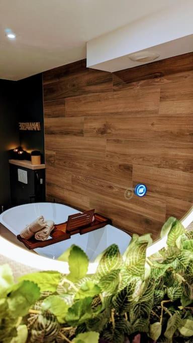 Le Petit Bali Apartment Sélestat Екстериор снимка