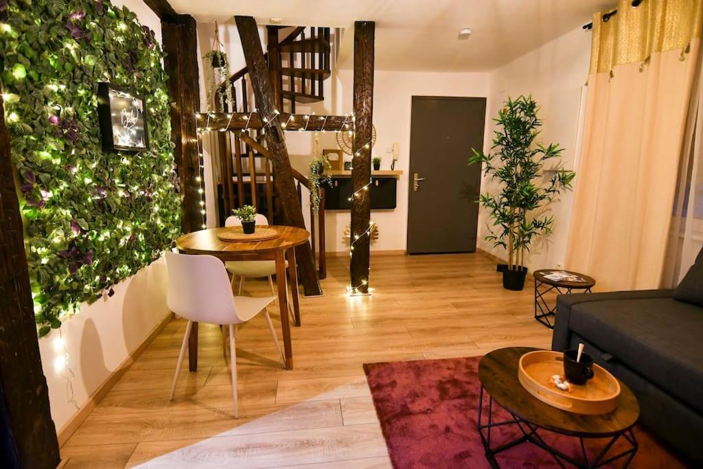 Le Petit Bali Apartment Sélestat Екстериор снимка